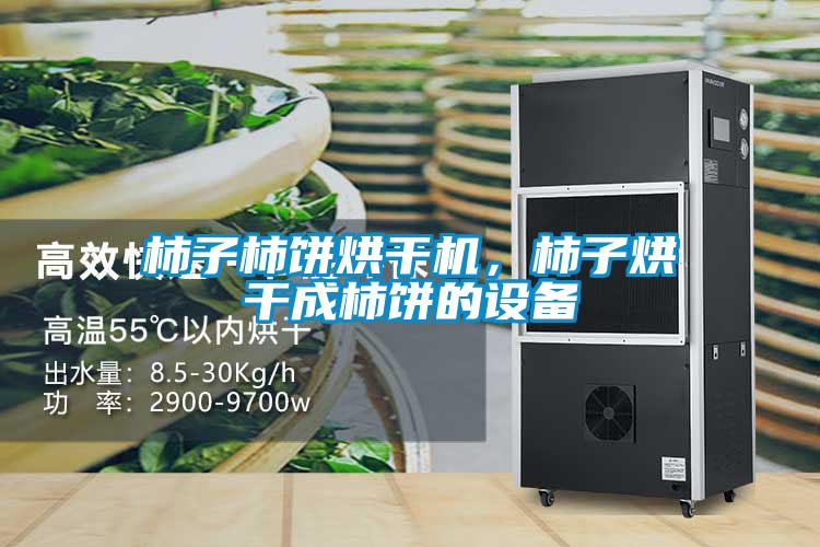 柿子柿饼烘干机，柿子烘干成柿饼的设备