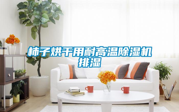 柿子烘干用耐高温粉色视频免费在线观看排湿