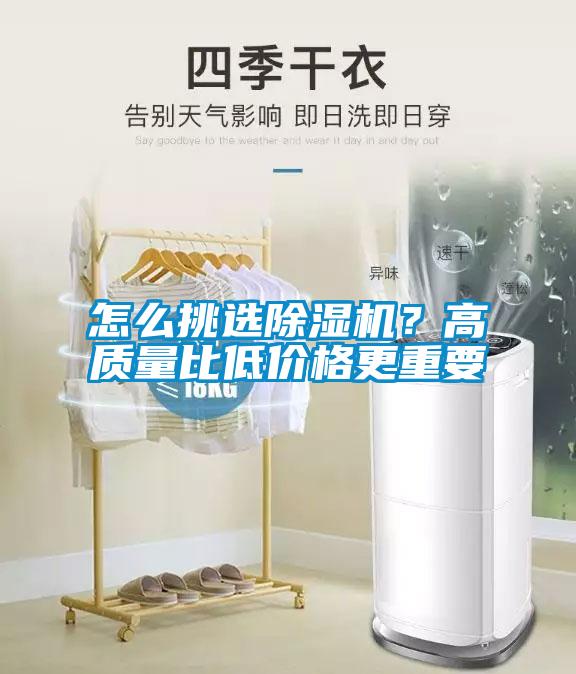 怎么挑选粉色视频免费在线观看？高质量比低价格更重要