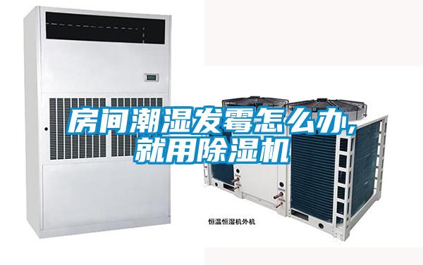 房间潮湿发霉怎么办,就用粉色视频免费在线观看