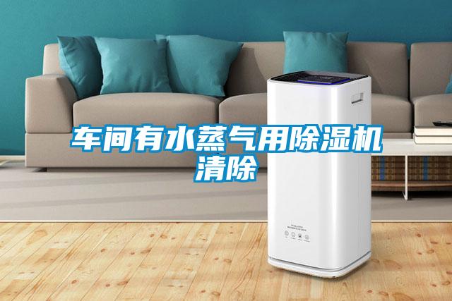 车间有水蒸气用粉色视频免费在线观看清除