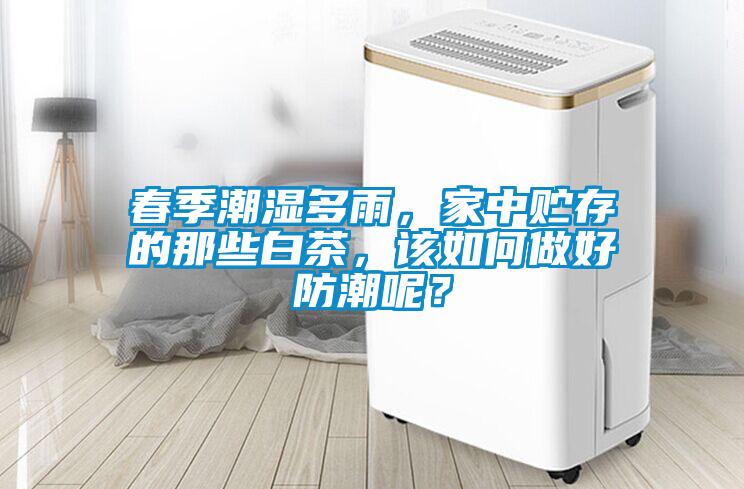 春季潮湿多雨，家中贮存的那些白茶，该如何做好防潮呢？