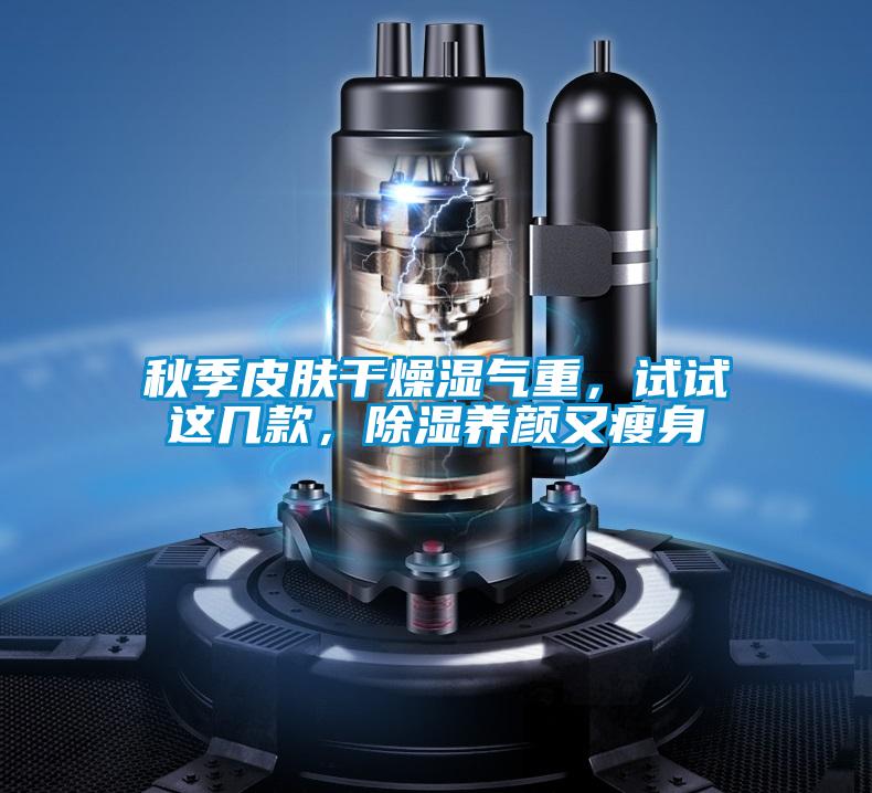 秋季皮肤干燥湿气重，试试这几款，除湿养颜又瘦身