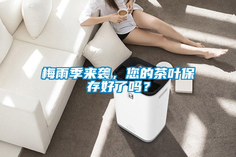 梅雨季来袭，您的茶叶保存好了吗？