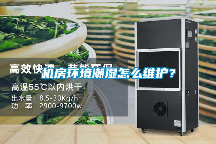 机房环境潮湿怎么维护？