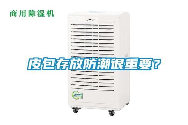 皮包存放防潮很重要？