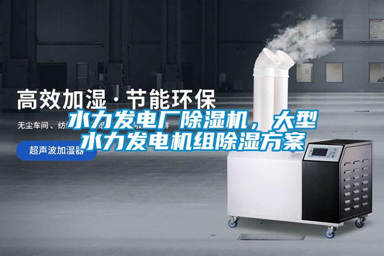 水力发电厂粉色视频免费在线观看，大型水力发电机组除湿方案