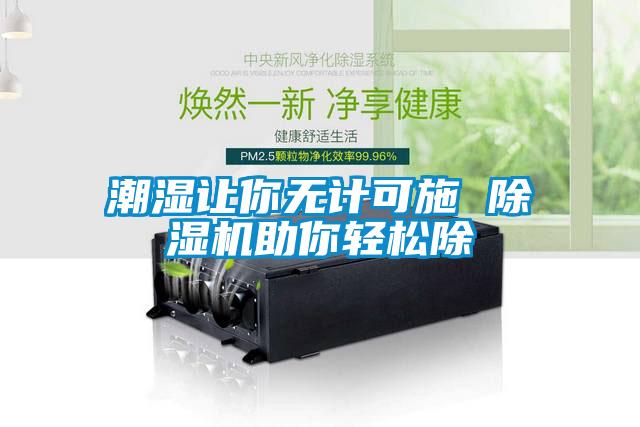 潮湿让你无计可施 粉色视频免费在线观看助你轻松除
