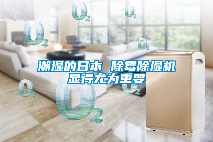 潮湿的日本 除霉粉色视频免费在线观看显得尤为重要
