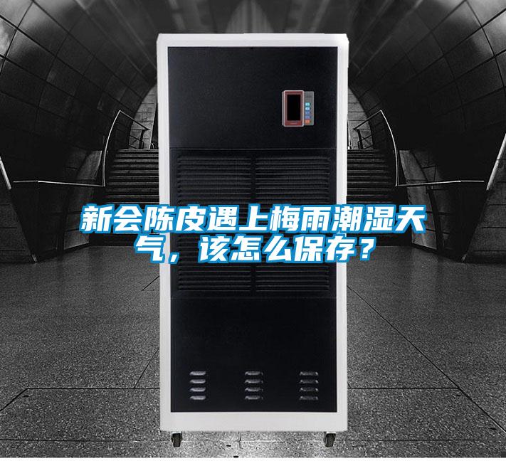 新会陈皮遇上梅雨潮湿天气，该怎么保存？