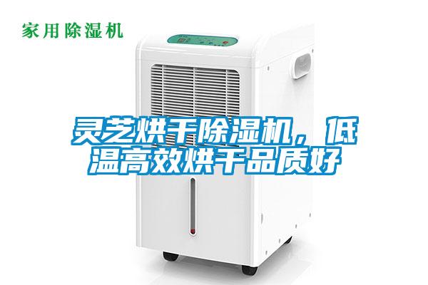 灵芝烘干粉色视频免费在线观看，低温高效烘干品质好