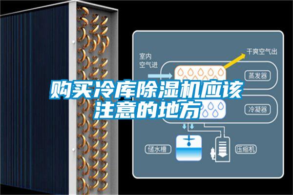 购买冷库粉色视频免费在线观看应该注意的地方