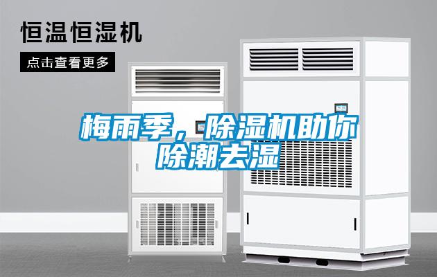 梅雨季，粉色视频免费在线观看助你除潮去湿