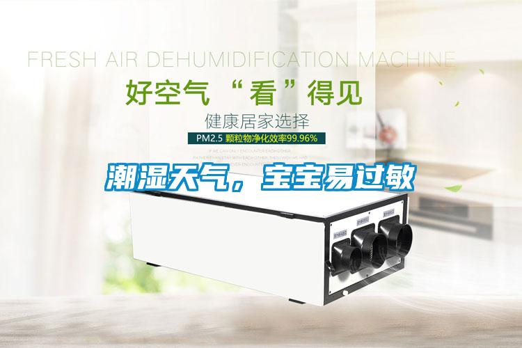 潮湿天气，宝宝易过敏