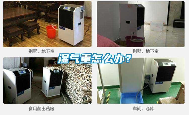 湿气重怎么办？