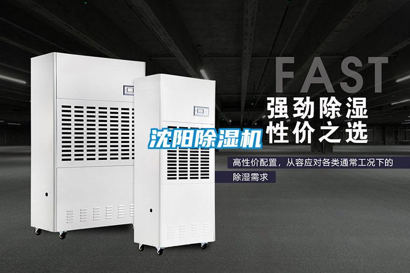 沈阳粉色视频免费在线观看