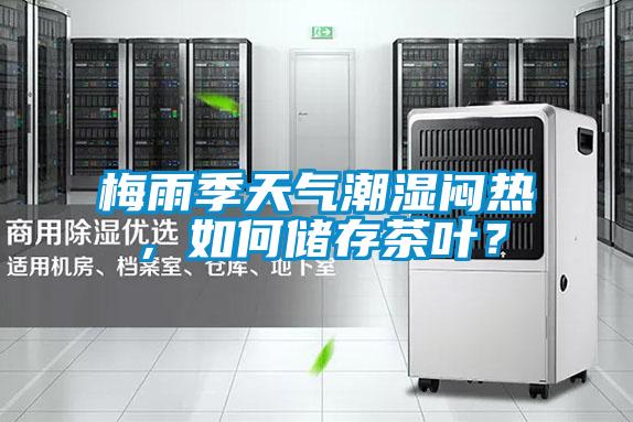 梅雨季天气潮湿闷热，如何储存茶叶？