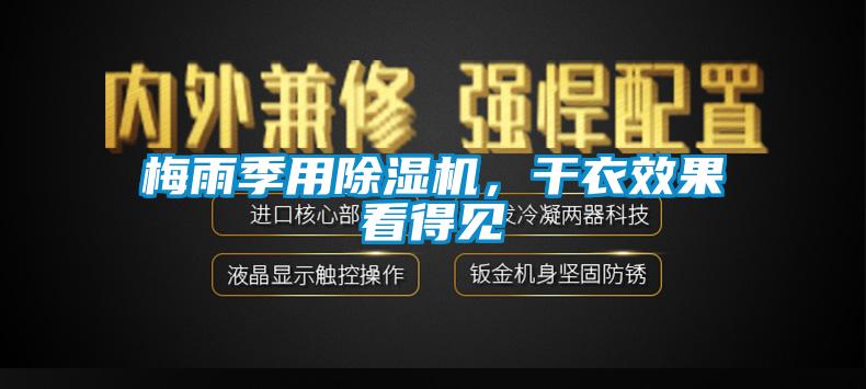 梅雨季用粉色视频免费在线观看，干衣效果看得见