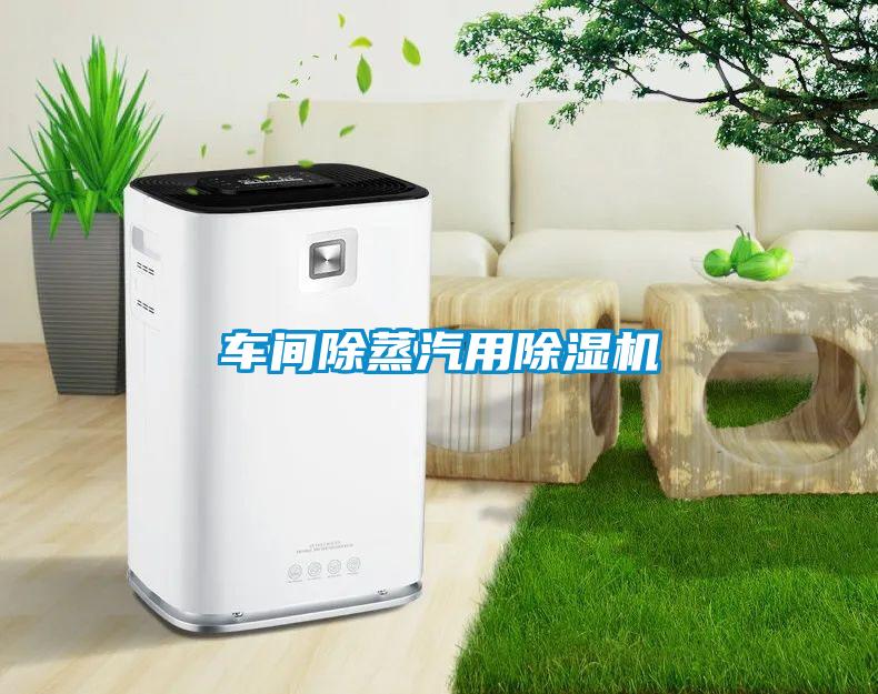 车间除蒸汽用粉色视频免费在线观看