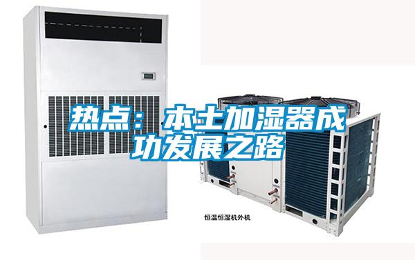 热点：本土加湿器成功发展之路