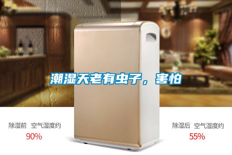 潮湿天老有虫子，害怕