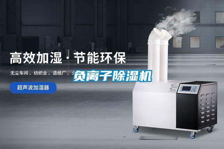 负离子粉色视频免费在线观看