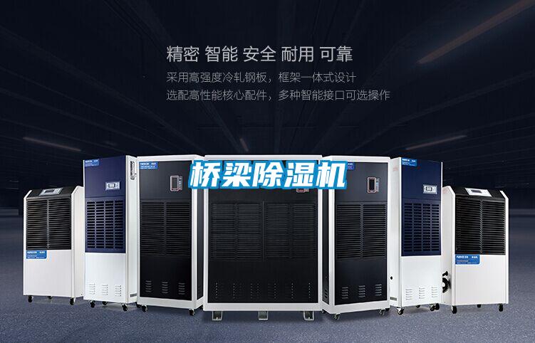 桥梁粉色视频免费在线观看