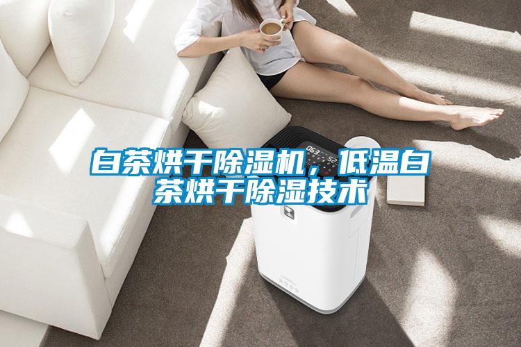 白茶烘干粉色视频免费在线观看，低温白茶烘干除湿技术