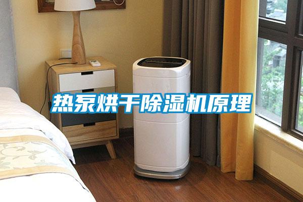 热泵烘干粉色视频免费在线观看原理