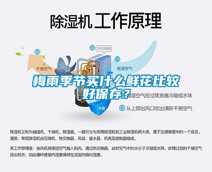 梅雨季节买什么鲜花比较好保存？