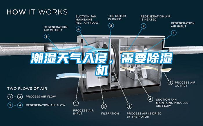 潮湿天气入侵，需要粉色视频免费在线观看