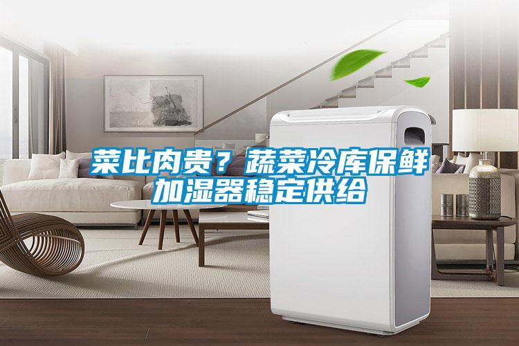 菜比肉贵？蔬菜冷库保鲜加湿器稳定供给