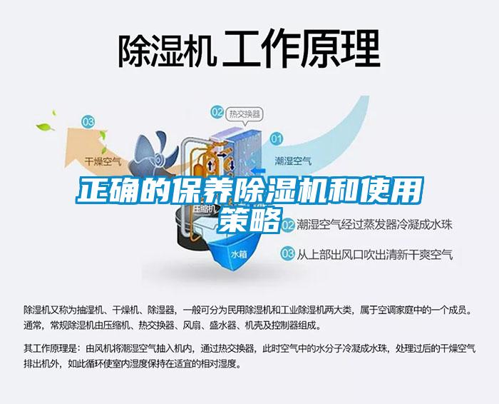 正确的保养粉色视频免费在线观看和使用策略