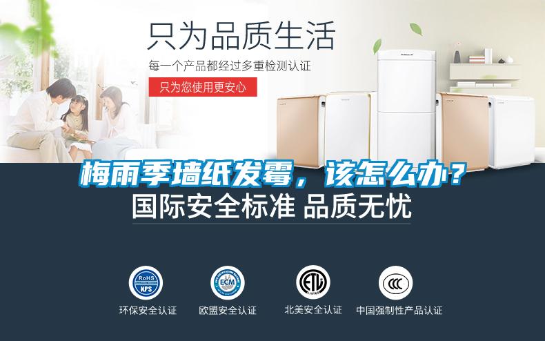 梅雨季墙纸发霉，该怎么办？
