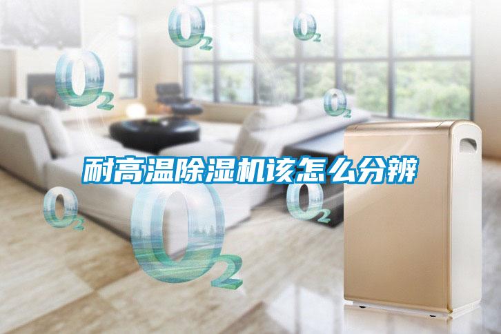 耐高温粉色视频免费在线观看该怎么分辨
