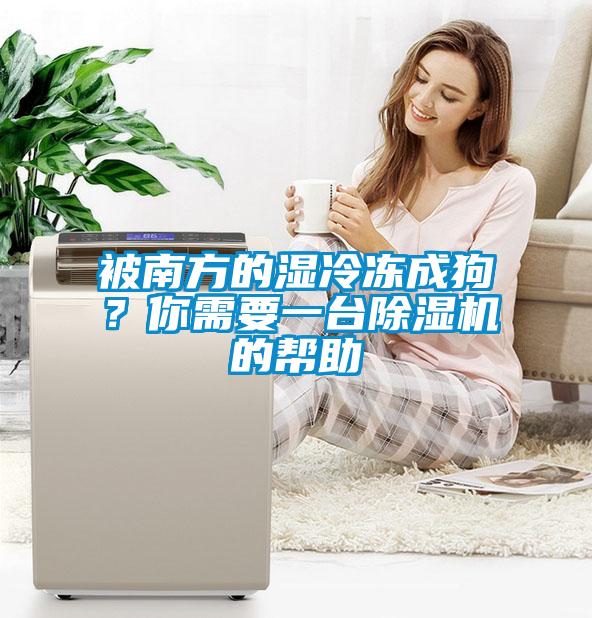 被南方的湿冷冻成狗？你需要一台粉色视频免费在线观看的帮助