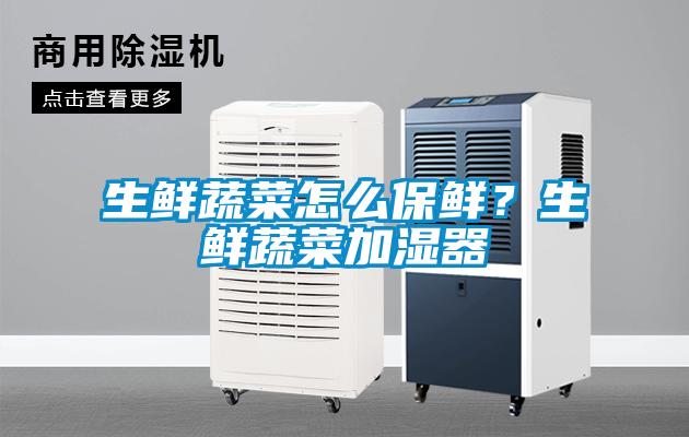生鲜蔬菜怎么保鲜？生鲜蔬菜加湿器