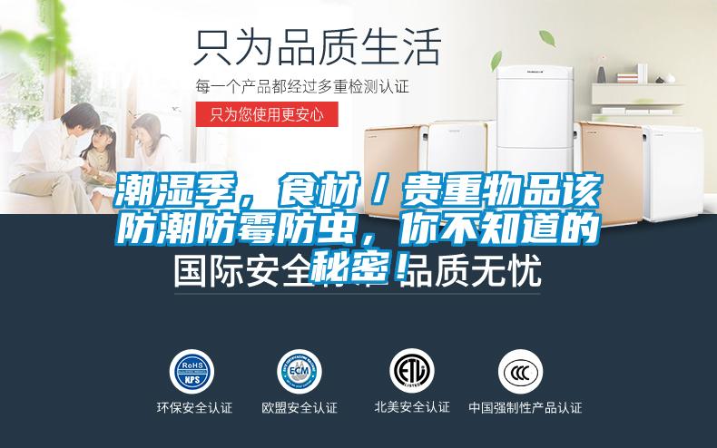 潮湿季，食材／贵重物品该防潮防霉防虫，你不知道的秘密！