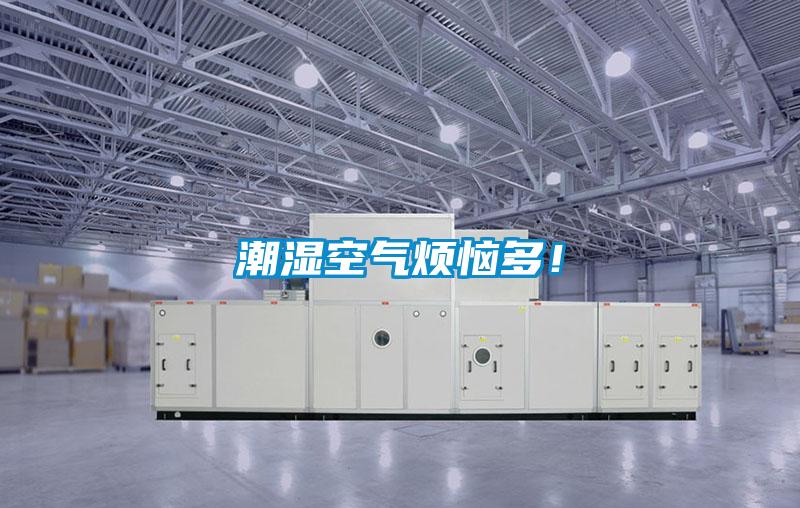 潮湿空气烦恼多！