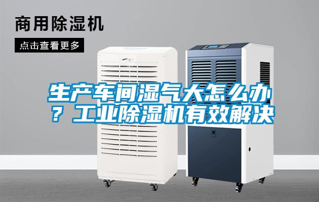 生产车间湿气大怎么办？工业粉色视频免费在线观看有效解决