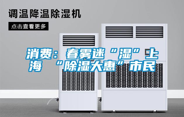 消费：春雾迷“湿”上海 “除湿大惠”市民