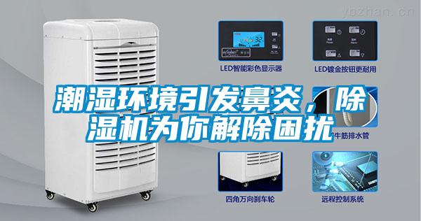潮湿环境引发鼻炎，粉色视频免费在线观看为你解除困扰
