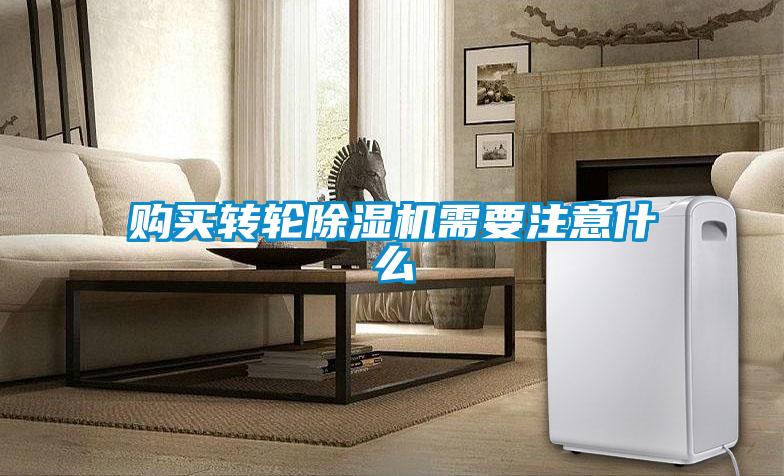 购买转轮粉色视频免费在线观看需要注意什么
