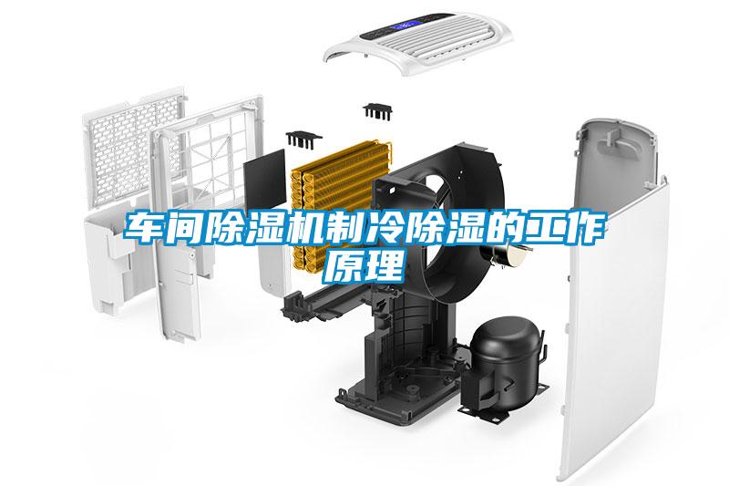 车间粉色视频免费在线观看制冷除湿的工作原理