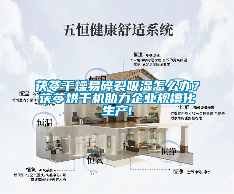 茯苓干燥易碎裂吸湿怎么办？茯苓烘干机助力企业规模化生产!