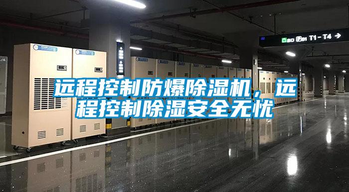 远程控制防爆粉色视频免费在线观看，远程控制除湿安全无忧
