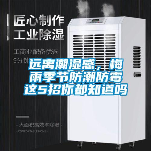 远离潮湿感，梅雨季节防潮防霉这5招你都知道吗