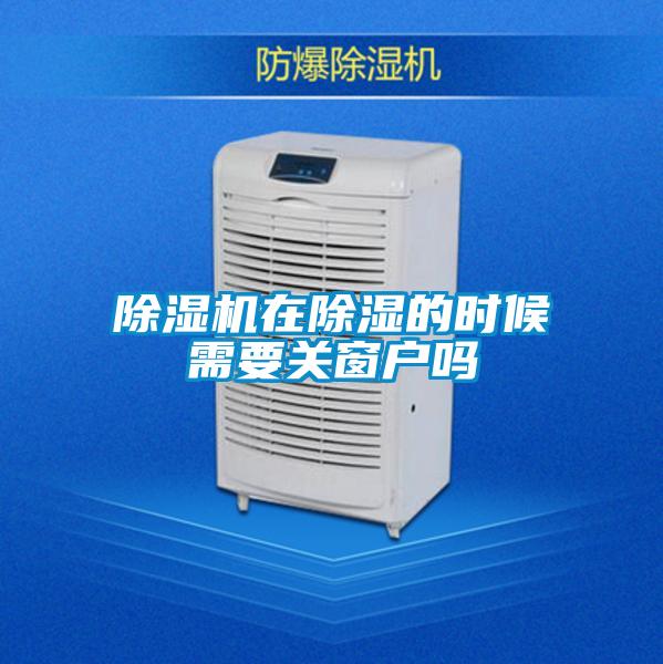 粉色视频免费在线观看在除湿的时候需要关窗户吗
