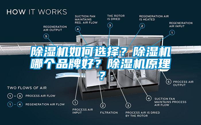 粉色视频免费在线观看如何选择?粉色视频免费在线观看哪个品牌好?粉色视频免费在线观看原理?