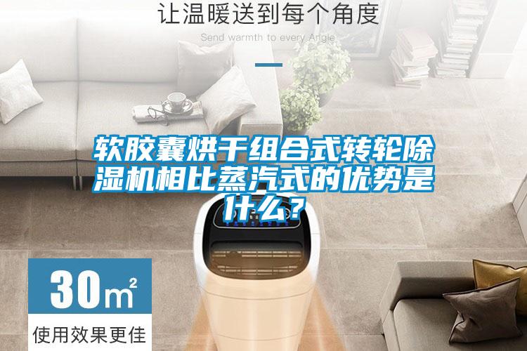 软胶囊烘干组合式转轮粉色视频免费在线观看相比蒸汽式的优势是什么？